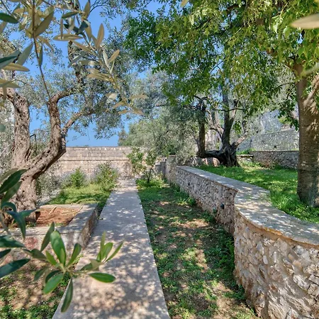 Olive Grove Villa *