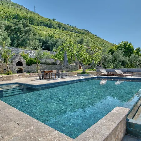 Olive Grove Budva