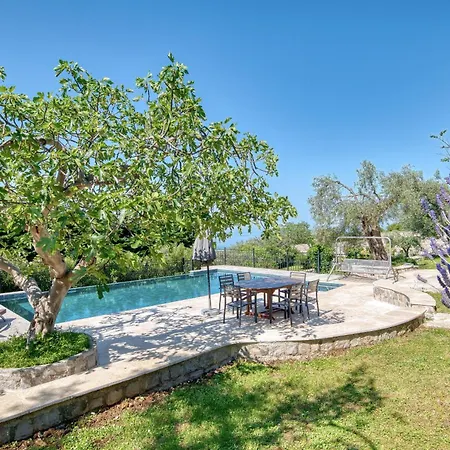 Olive Grove *