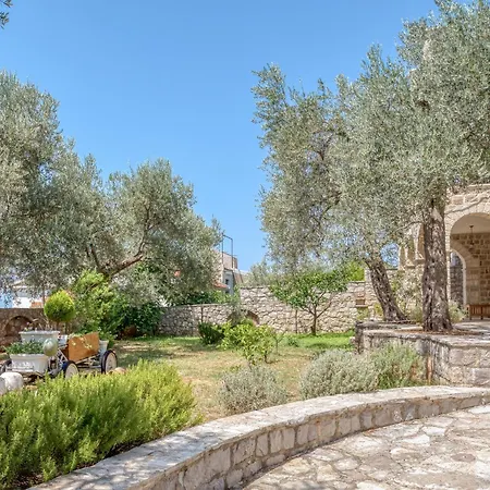 Olive Grove Villa Budva